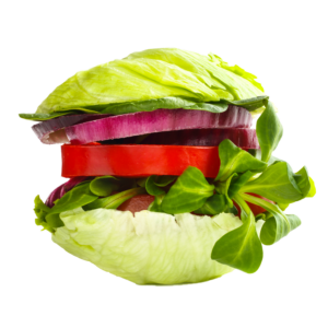 shutterstock_1048777241_no background